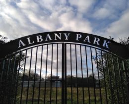 Albany Park in Enfield Wash