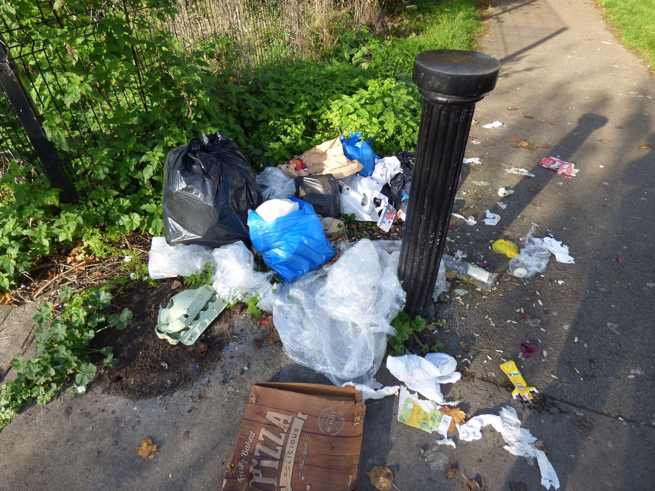 New litter-picking sessions launching in Enfield Town - Enfield Dispatch