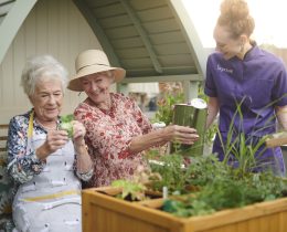 Two older people enjoying planting and watering seedlings and flowers in a raised planter as a member of staff joins the fun