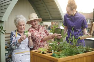 Two older people enjoying planting and watering seedlings and flowers in a raised planter as a member of staff joins the fun