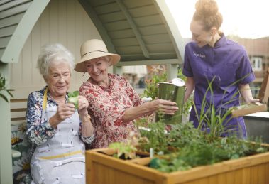Two older people enjoying planting and watering seedlings and flowers in a raised planter as a member of staff joins the fun