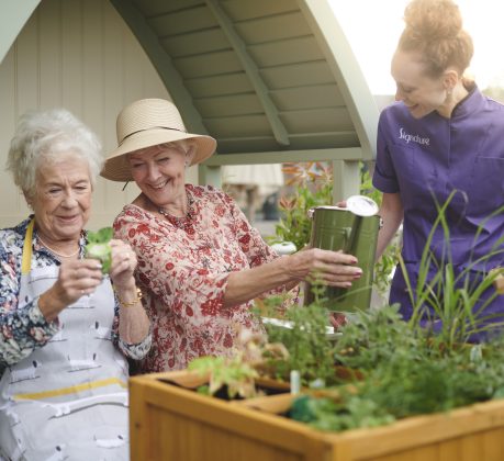 Two older people enjoying planting and watering seedlings and flowers in a raised planter as a member of staff joins the fun