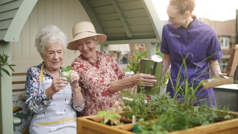Two older people enjoying planting and watering seedlings and flowers in a raised planter as a member of staff joins the fun