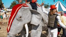 Elephants on parade
