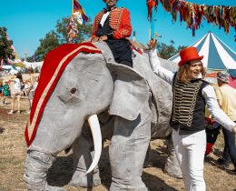 Elephants on parade