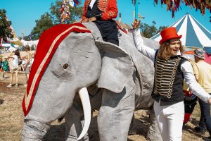 Elephants on parade