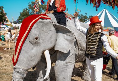 Elephants on parade