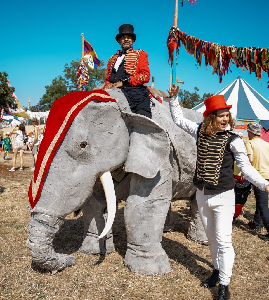 Elephants on parade