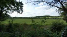 Green Belt land at Hadley Wood which Enfield Council allocated for housing in its Local Plan