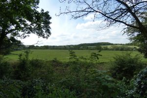 Green Belt land at Hadley Wood which Enfield Council allocated for housing in its Local Plan