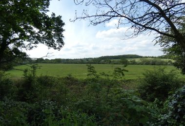 Green Belt land at Hadley Wood which Enfield Council allocated for housing in its Local Plan