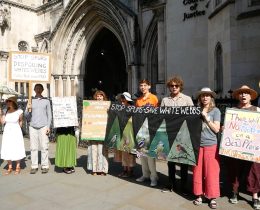 Guardians of Whitewebbs campaigners outside the Royal Courts of Justice this week (credit Ed Allnutt)