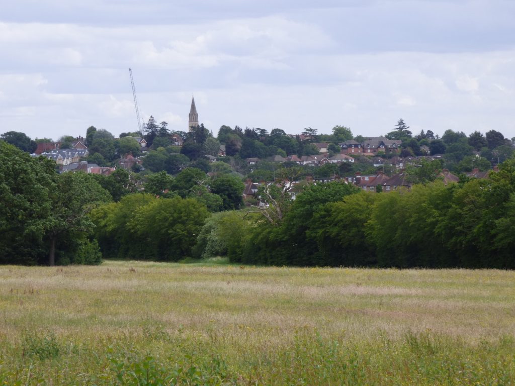 Vicarage Farm