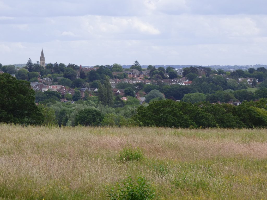 The new town includes 'Chase Park', better known locally as Vicarage Farm