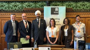 Members of the All-Party Parliamentary Group for London (credit London Councils)
