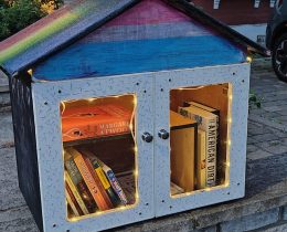 The little free library