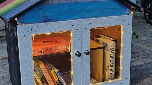 The little free library
