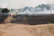 Forty Hall grass fire (credit Enfield Archaeological Society)