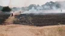 Forty Hall grass fire (credit Enfield Archaeological Society)