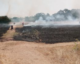 Forty Hall grass fire (credit Enfield Archaeological Society)