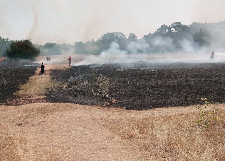 Forty Hall grass fire (credit Enfield Archaeological Society)
