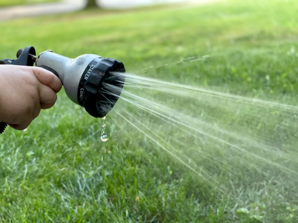 Hosepipes are now banned (credit Steve Dimatteo via Unsplash)