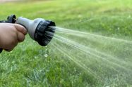 Hosepipes are now banned (credit Steve Dimatteo via Unsplash)