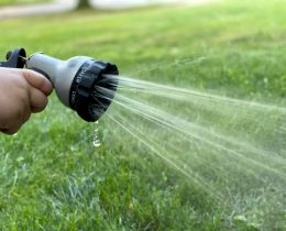 Hosepipes are now banned (credit Steve Dimatteo via Unsplash)