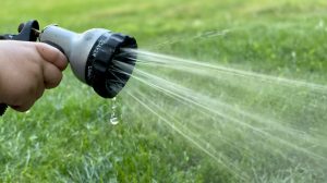 Hosepipes are now banned (credit Steve Dimatteo via Unsplash)