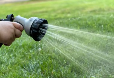 Hosepipes are now banned (credit Steve Dimatteo via Unsplash)