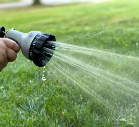 Hosepipes are now banned (credit Steve Dimatteo via Unsplash)
