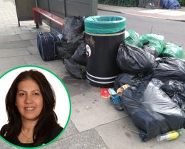 Street litter in Enfield and (inset) cabinet member Maria Alexandrou