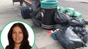 Street litter in Enfield and (inset) cabinet member Maria Alexandrou