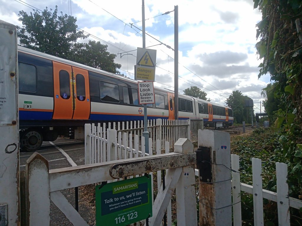 A damaged train remains stuck even though the tree itself has been removed