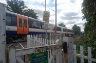 A damaged train remains stuck even though the tree itself has been removed
