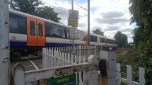 A damaged train remains stuck even though the tree itself has been removed