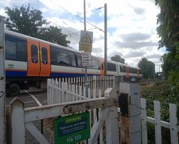 A damaged train remains stuck even though the tree itself has been removed