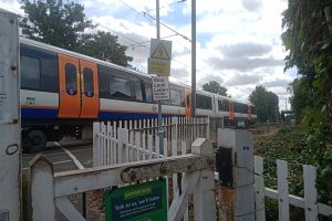 A damaged train remains stuck even though the tree itself has been removed