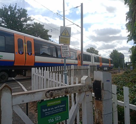 A damaged train remains stuck even though the tree itself has been removed