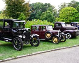 Vintage cars at Capel Manor Gardens