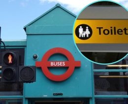 Buses and (inset) toilets