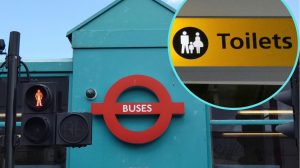 Buses and (inset) toilets