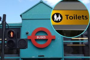 Buses and (inset) toilets