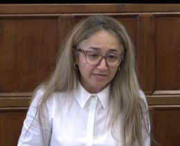 Feryal Clark MP addresses the Westminster Hall debate