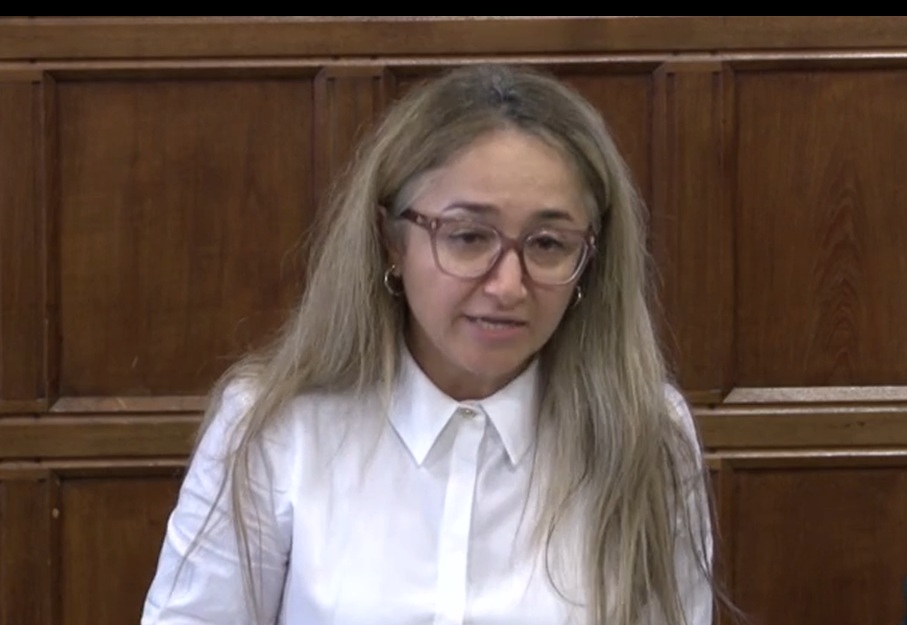 Feryal Clark MP addresses the Westminster Hall debate