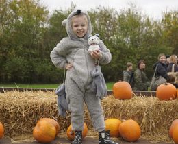 Children can pick-their-own pumpkins at Capel Manor