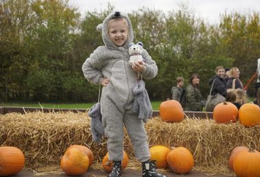 Children can pick-their-own pumpkins at Capel Manor