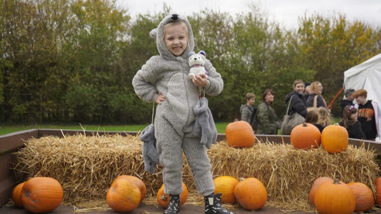 Frightful fun for all the family across Enfield this Halloween
