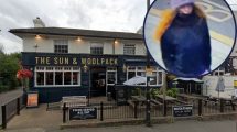 The Sun & Woolpack Pub and (inset) the shooting suspect