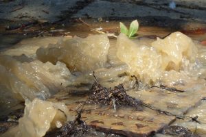 A recent water leak in Oak Avenue, Enfield